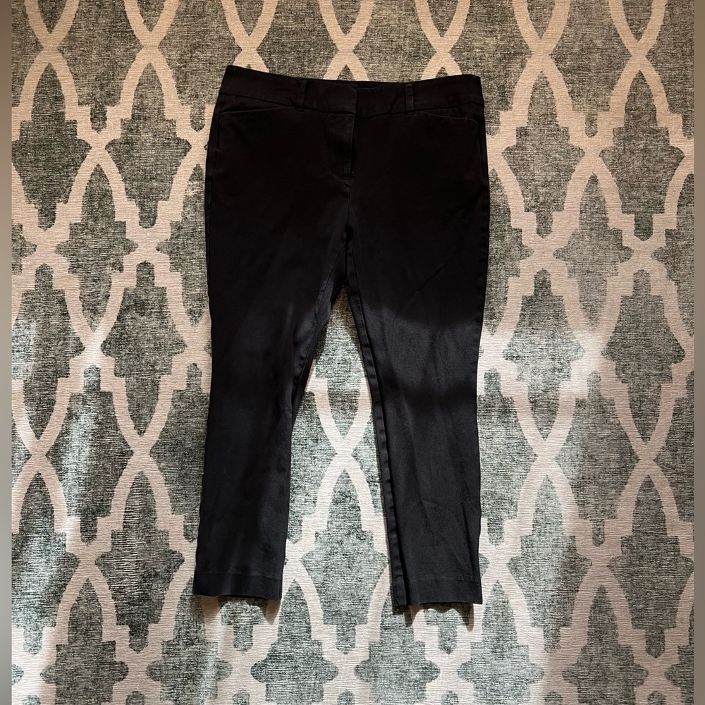 Loft Outlet Skinny Ankle Pants